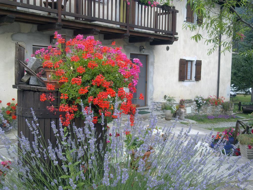 Roure Turin La Peiro Doucoゲストハウス エクステリア 写真
